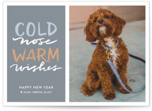 Cold Nose, Warm Wishes Holiday Photo Cards