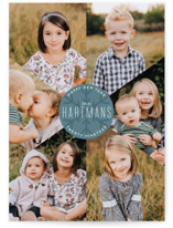 Snowflake Fragments Holiday Photo Cards