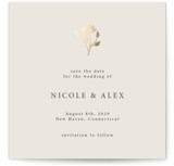 Petite Jolie Foil-Pressed Save The Date Cards