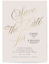 Mirin Foil-Pressed Save The Date Cards