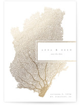 collected coral Foil-Pressed Save The Date Cards