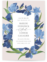 Save the Date Petite Cards