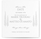 Vigneto by Marie Gully