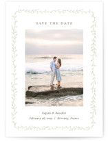 Save the Date Postcards