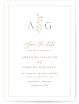 Save the Date Postcards