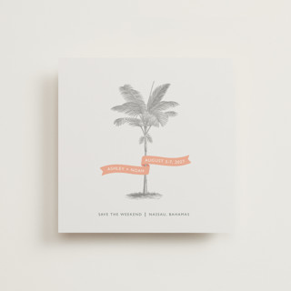 Palm Save The Date Cards