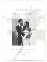 Palm Save The Date Cards