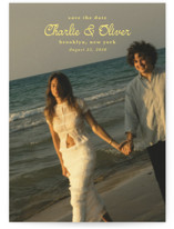 Aesthetic Save The Date Cards