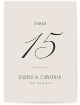 Mirin Foil-Pressed Table Numbers