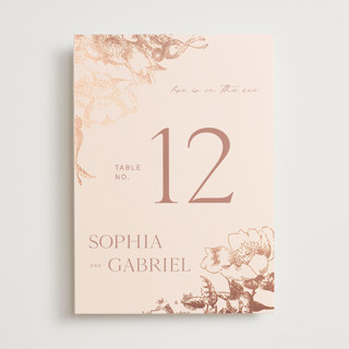 mon amour Foil-Pressed Table Numbers