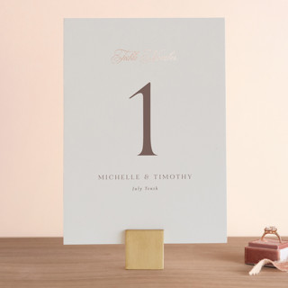 Better Half Foil-Pressed Table Numbers