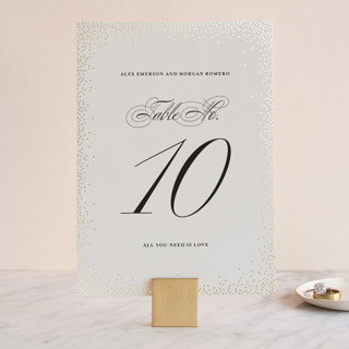 Promise Foil-Pressed Table Numbers