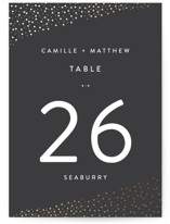 Modern Glam Foil-Pressed Table Numbers