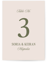 Soria Table Numbers