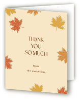 Thank You Cards