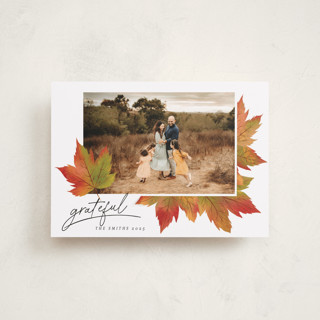 Maple Lovers Thanksgiving Petite Cards