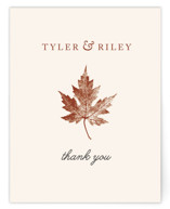 Wedding Thank You Postcards