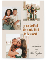 All of the Above Thanksgiving Cards