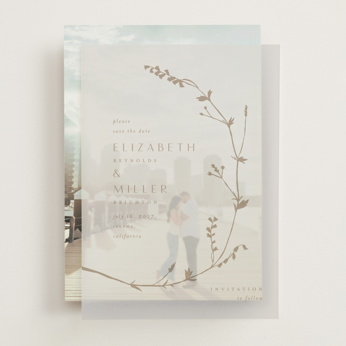 Vine Wrap Vellum Overlays by Amy Kross Minted