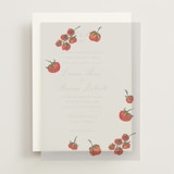 Petit Pomodoro Vellum Overlays