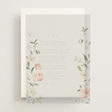 Vellum Overlays