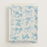 Vellum Overlays