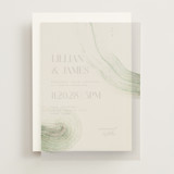 Vellum Overlays