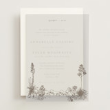 Vellum Overlays