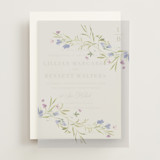 Vellum Overlays