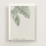 Vellum Overlays