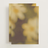 Vellum Overlays
