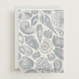 Seashore Vellum Overlays