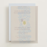 Modern Vintage Vellum Overlays