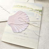 Folded Watercolor Seashell Belly Band- Set of 25 Belly Bands