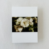 Vintage Neutral Floral Vellum Belly Bands For Wedding Invitations | Set Of 25 Belly Bands