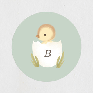 Lil Duck Baby Shower Stickers