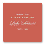 Baby era Baby Shower Stickers