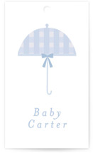 Plaid Brolly Baby Shower Favor Tags