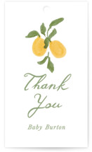 Lemon and Ribbon Baby Shower Favor Tags