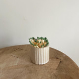 Decorative Match Holder - Ribbed Candle Holders