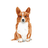 Custom Dog Icon Commissioned Design Element