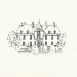 Custom Venue Illustration Commissioned Design Element