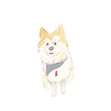 Custom Watercolor Pet Icon Commissioned Design Element