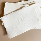 Holiday Holly Branch Embosser Embossers