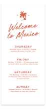bienvenida Tall Wedding Weekend Itinerary Cards