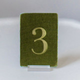 Small Rectangle Table Number - Avocado Table Numbers