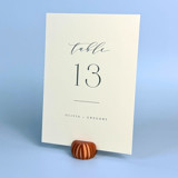 Copper Color Pumpkin Table Number Holder, Set of 5 Place Card Holders